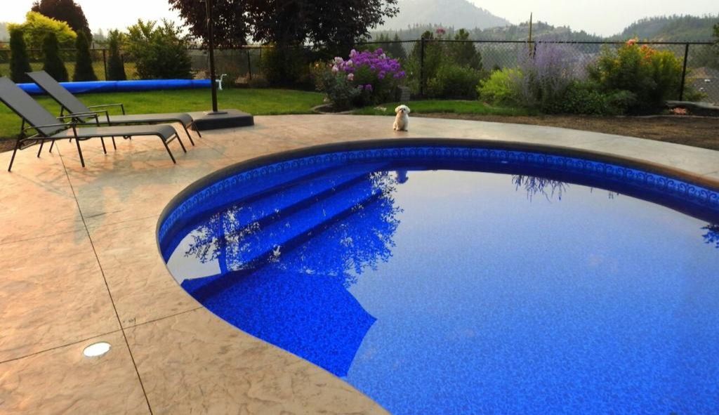 Curved pool with wide entry steps and a stamped concrete deck